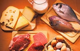Alimentos de origen animal